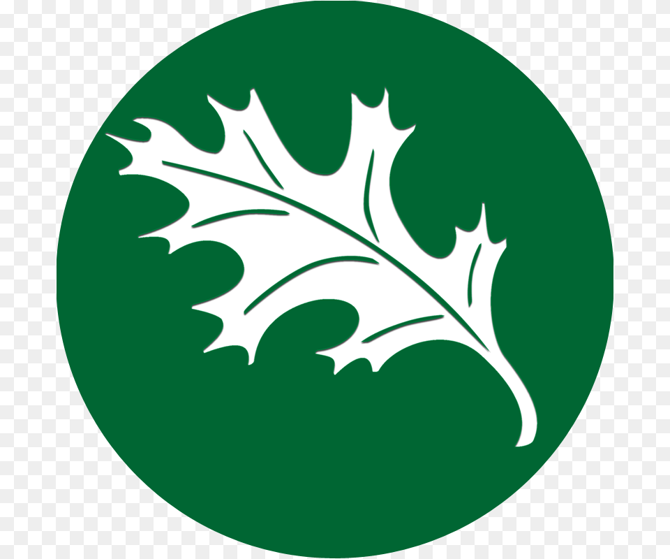 Lexington School, Leaf, Plant, Person Png