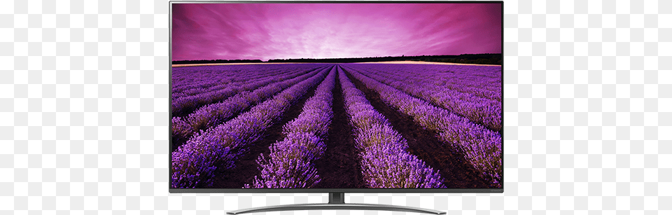 Lg, Computer Hardware, Screen, Purple, Plant Free Transparent Png