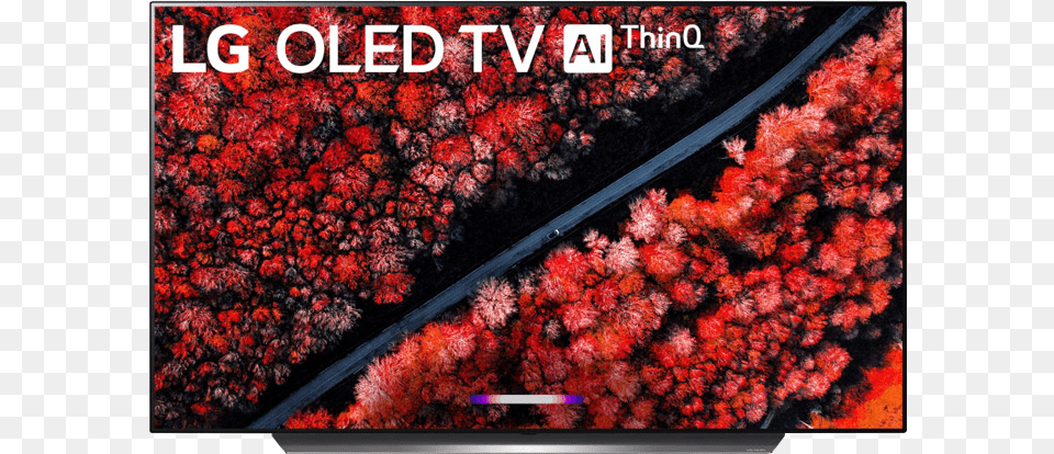 Lg C9 65 Inch Class 4k Smart Oled Tv W Ai Thinq Lg 55 Oled, Woodland, Water, Vegetation, Tree Free Png