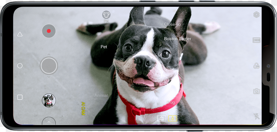 Lg G7 Thanq Ai Camera Lg G7 Ai Cam, Animal, Canine, Dog, Mammal Free Transparent Png