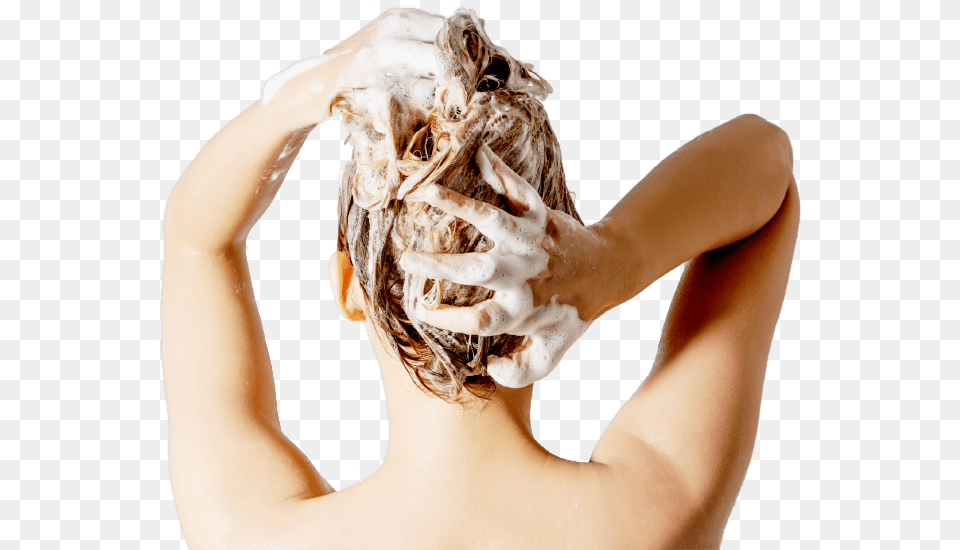 Lger Psoriasis Cuir Chevelu, Person, Washing, Adult, Female Free Png Download