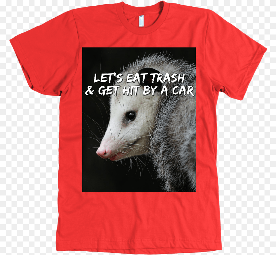 Lgfuapd Opossum T Shirt, Clothing, T-shirt, Animal, Mammal Free Png Download