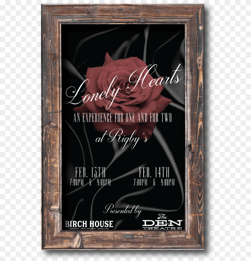 Lh 01 Picture Frame, Rose, Plant, Flower, Adult Free Png Download