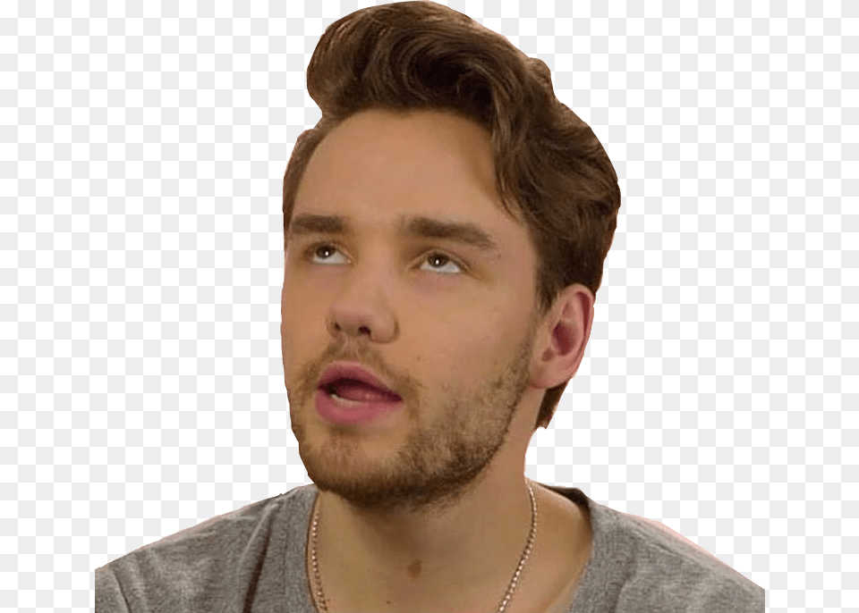 Liam Payne Liampayne Liam Payne Liammalik Liampalik Human, Adult, Body Part, Face, Head Png