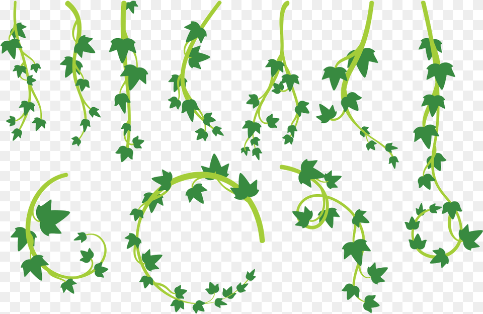 Liana Leaves Vector Lianas, Green, Leaf, Pattern, Plant Png