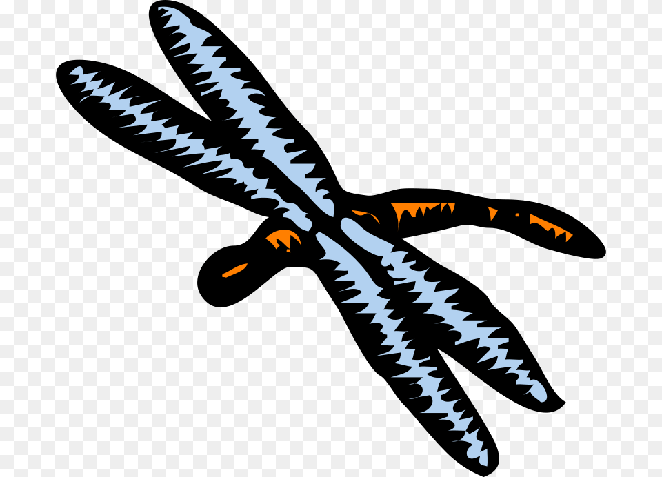 Libellula Architetto Fr, Sword, Weapon, Animal, Dinosaur Free Png Download