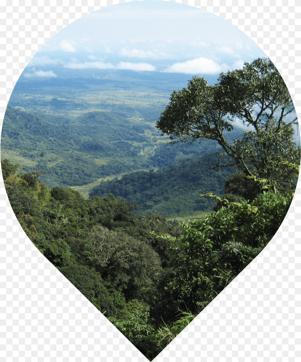 Liberia Landscape, Nature, Outdoors, Scenery, Plant Png Image