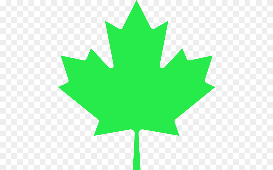 Libertarian Maple Leaf Transparent Canadian Maple Leaf Vector, Plant, Maple Leaf Free Png