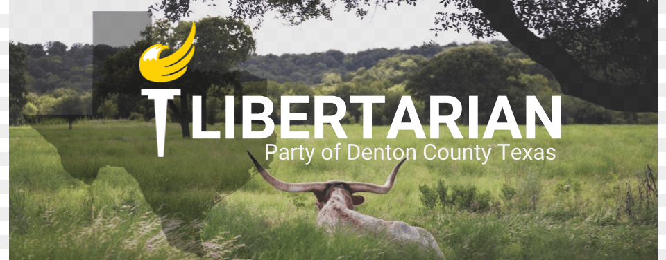 Libertarian Party, Animal, Mammal, Longhorn, Livestock Free Transparent Png