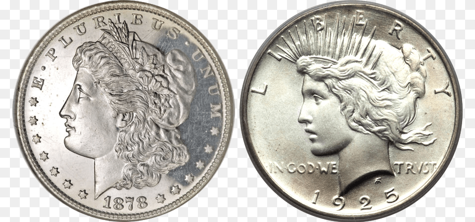 Liberty Silver Dollar, Adult, Money, Man, Male Png