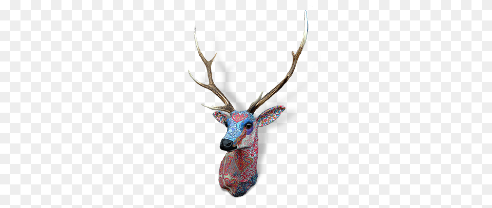 Liberty Stag Head Deer Head Ideas Stag Head Deer, Animal, Mammal, Wildlife, Antler Png Image