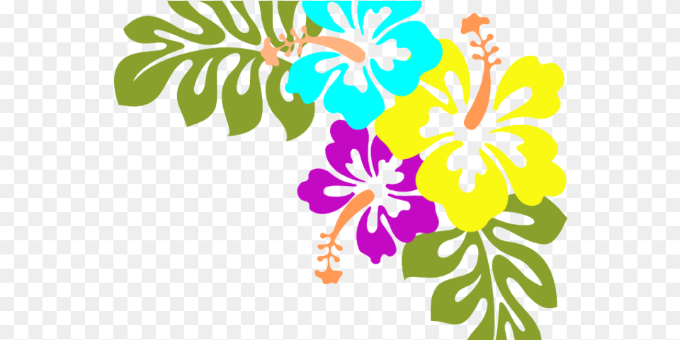 Library Clipart Borders Hawaiian Flowers Transparent Hawaiian Flowers Clip Art, Flower, Hibiscus, Plant, Person Png