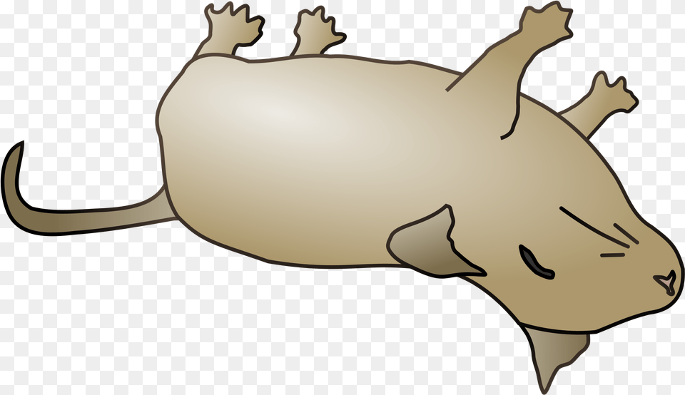 Library Dead Fish Files Cartoon Dead Animal, Person, Mammal Png