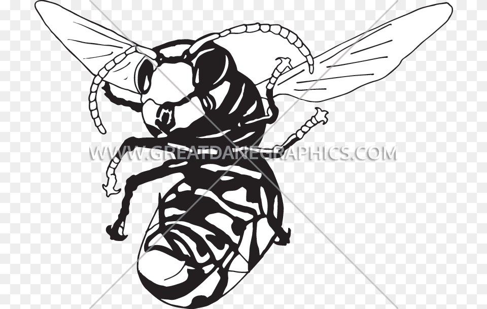 Library Library Drawing At Getdrawings Com Illustration, Animal, Invertebrate, Insect, Bee Free Png Download
