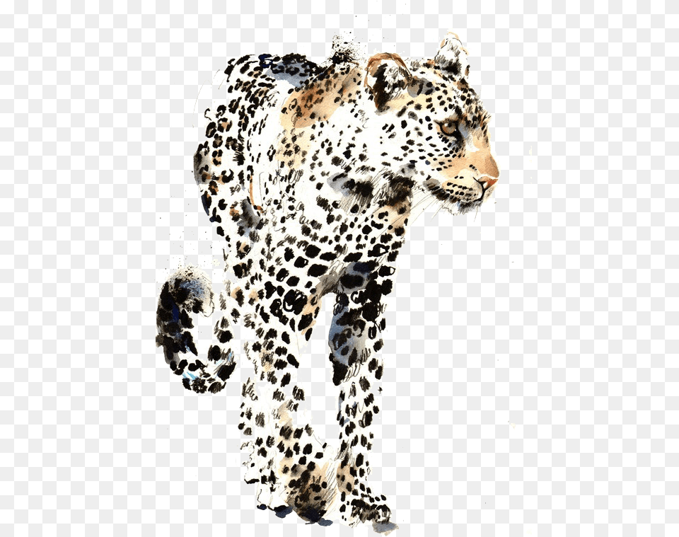 Library Library Saatchi Gallery Artist Watercolor Manchas De Jaguar Dibujo, Animal, Mammal, Panther, Wildlife Free Png
