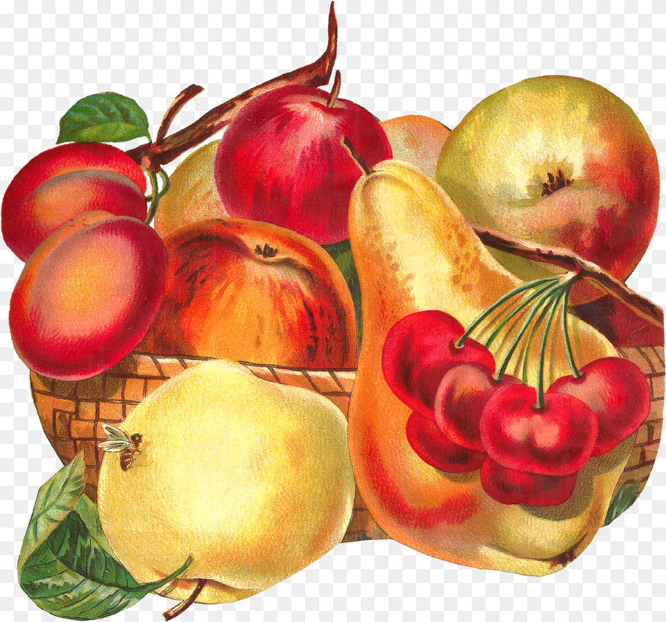Library Of Apple Fruit Clip Stock Files Clipart Vintage Fruit Basket, Food, Plant, Produce, Peach Free Png