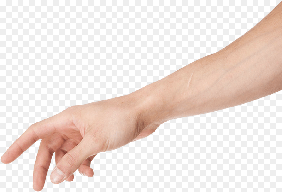 Library Of Arm Image No Background Files Background Arm, Body Part, Hand, Person, Wrist Png