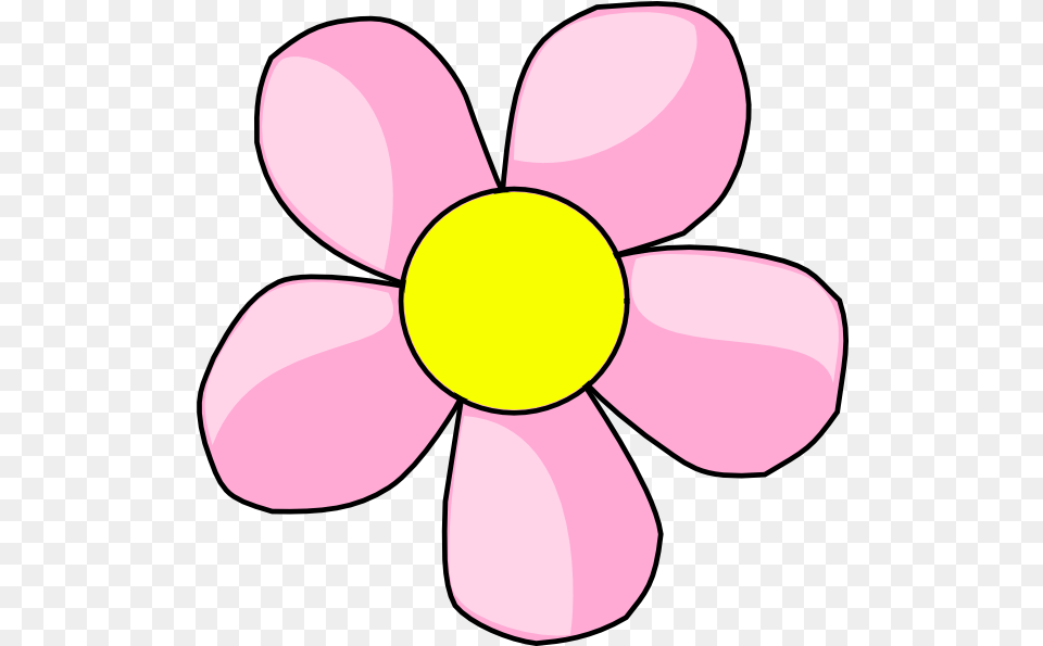 Library Of Baby Flower Picture Cute Flower Clipart, Anemone, Daisy, Petal, Plant Free Transparent Png