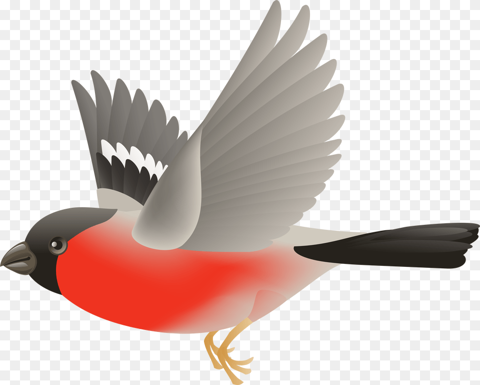 Library Of Bird Flying Picture Black Fly Transparent Background, Animal, Finch, Beak, Jay Free Png Download