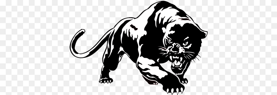 Library Of Black Panther Mascot Clip Freeuse Files Black Panther Animal Drawing, Stencil, Mammal, Wildlife, Baby Free Transparent Png