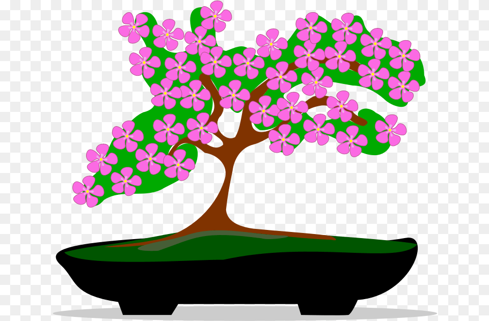 Library Of Bonsai Images Graphic Transparent Files Bonsai, Plant, Tree, Flower, Potted Plant Png