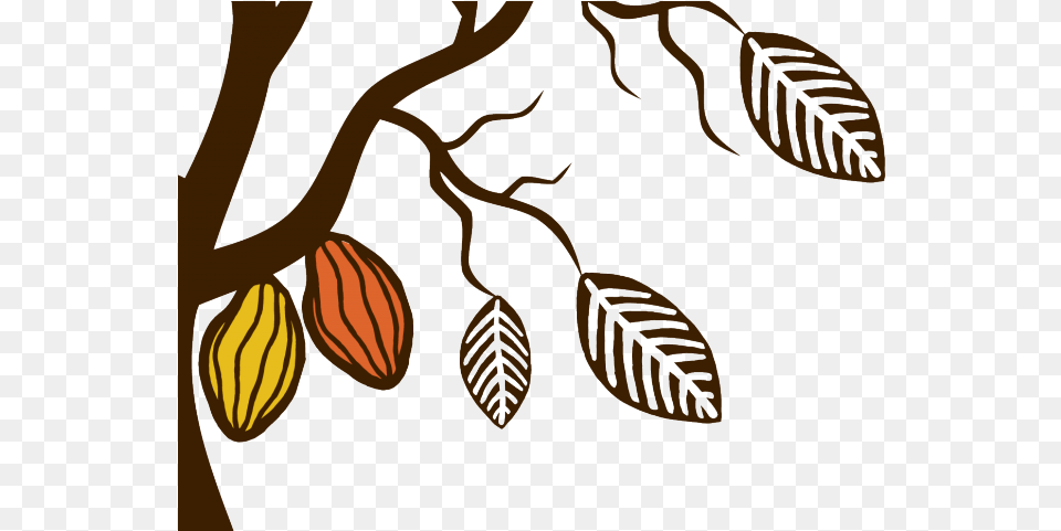 Library Of Cacao Tree Jpg Download Files Cacao Tree Clipart, Plant, Leaf, Annonaceae, Food Free Transparent Png