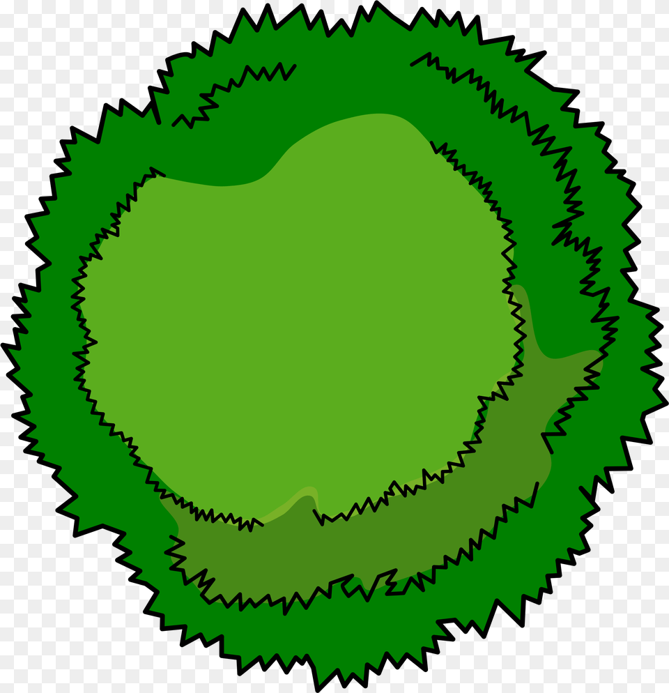 Library Of Circle Tree Image Files Cartoon Tree Top View, Rainforest, Plant, Outdoors, Nature Free Transparent Png