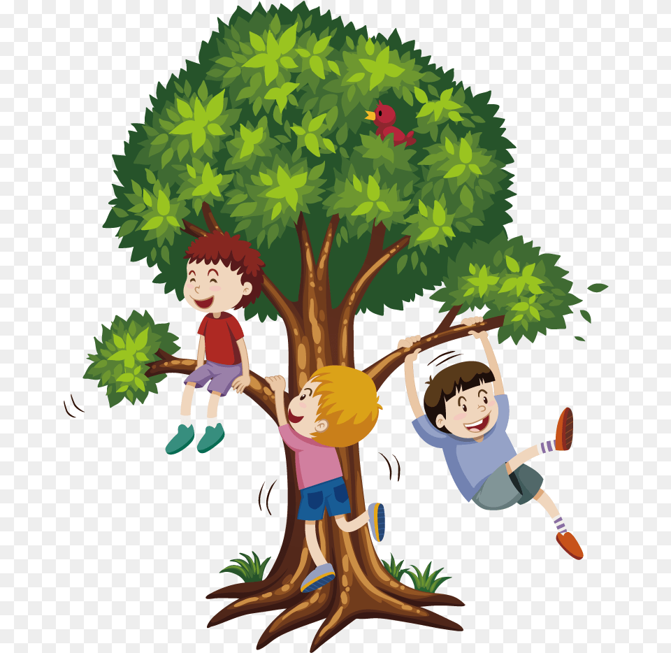 Library Of Climbing Tree Clip Royalty Climb The Tree Cartoon, Plant, Vegetation, Person, Baby Png Image