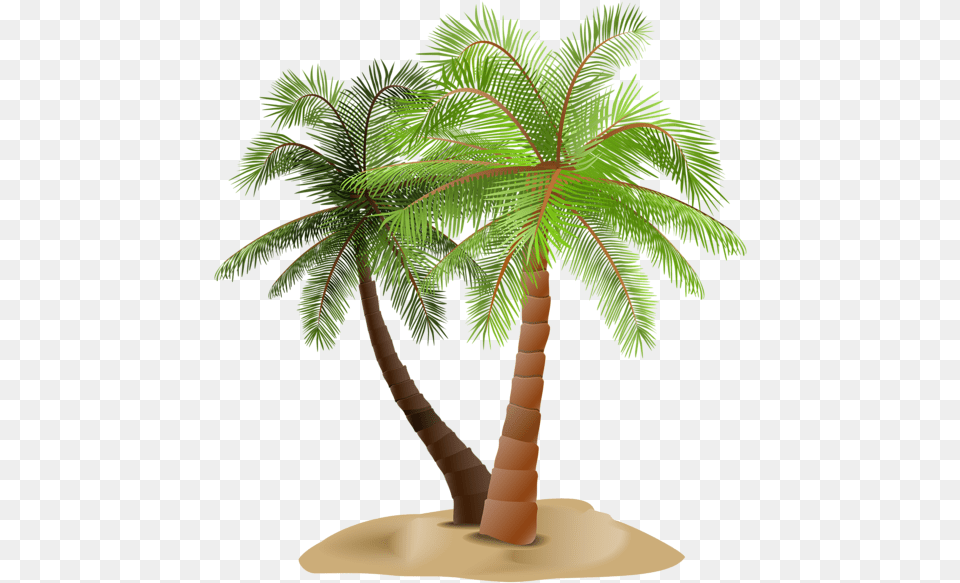 Library Of Date Palm Tree Stock Files Portable Network Graphics, Palm Tree, Plant Png Image