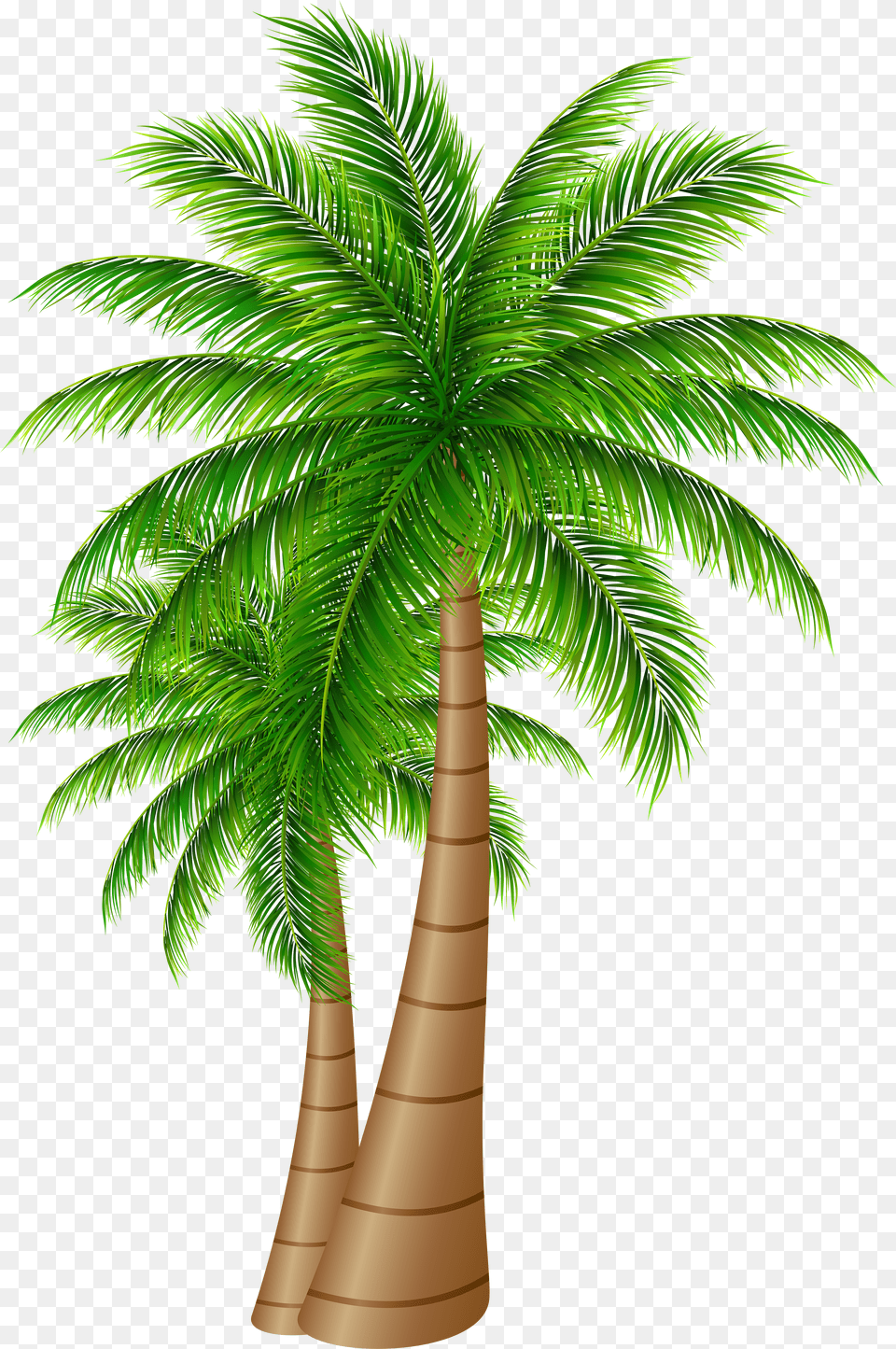 Library Of Date Palm Tree Transparent Background Palm Tree Png