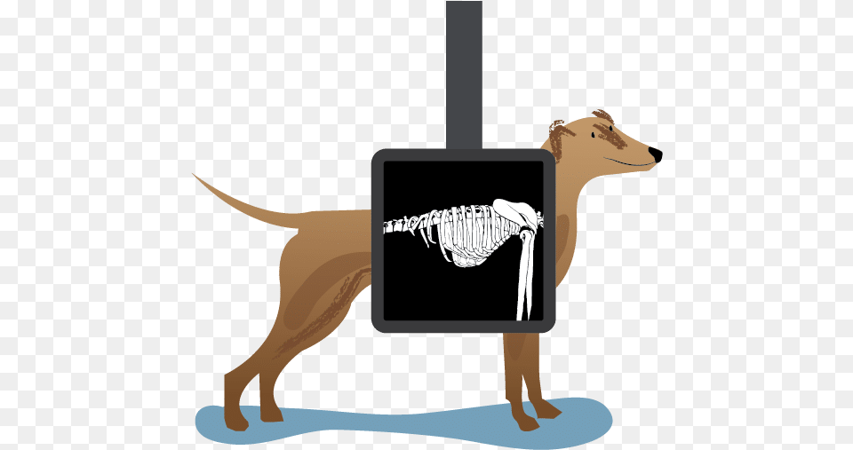 Library Of Dog Xray Picture Black And Animal Xray Clip Art, Canine, Mammal Png Image