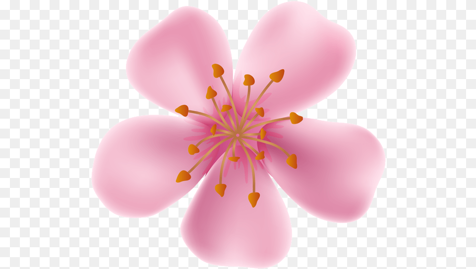 Library Of Flower Bloomed Clip Freeuse Files Blossom Blooming Flower, Anther, Petal, Plant, Cherry Blossom Free Png Download