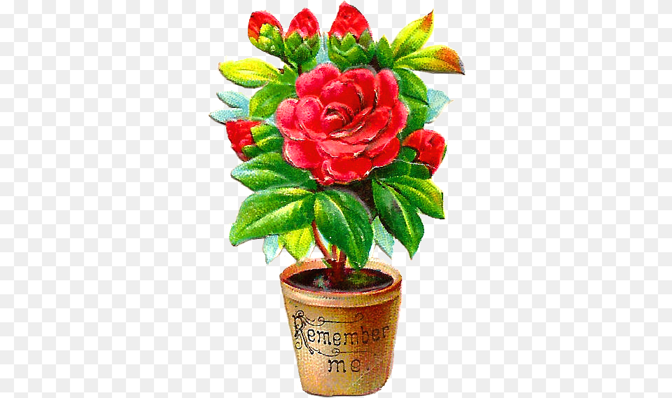 Library Of Flower Bush Clip Files Clipart Rose Plant In Pot Clipart, Flower Arrangement, Potted Plant, Leaf, Tree Free Png Download