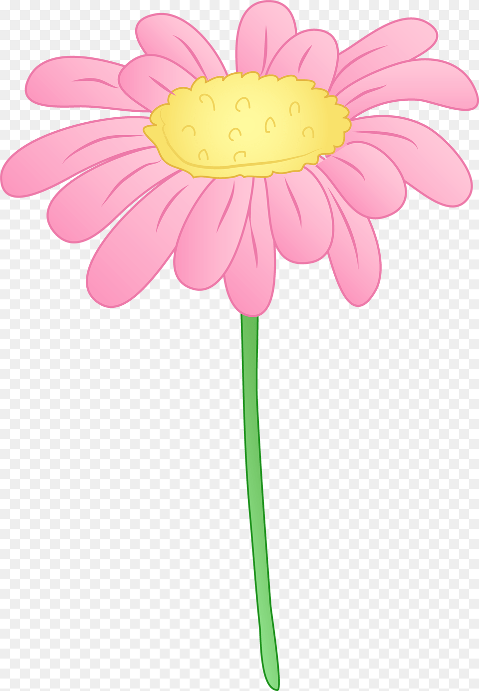 Library Of Flower Cartoon Files Cartoon Image Single Flowers, Daisy, Petal, Plant, Anther Png