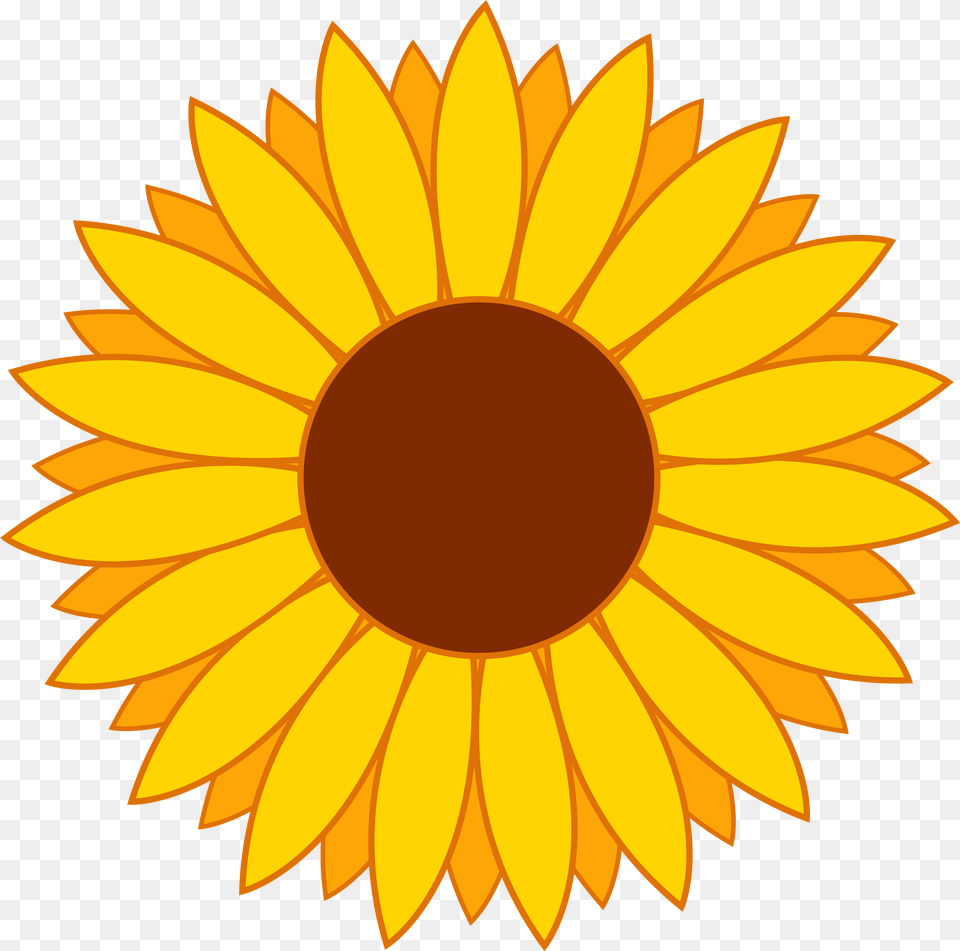 Library Of Flower Cartoon Sunflower Clipart, Daisy, Plant Free Png Download
