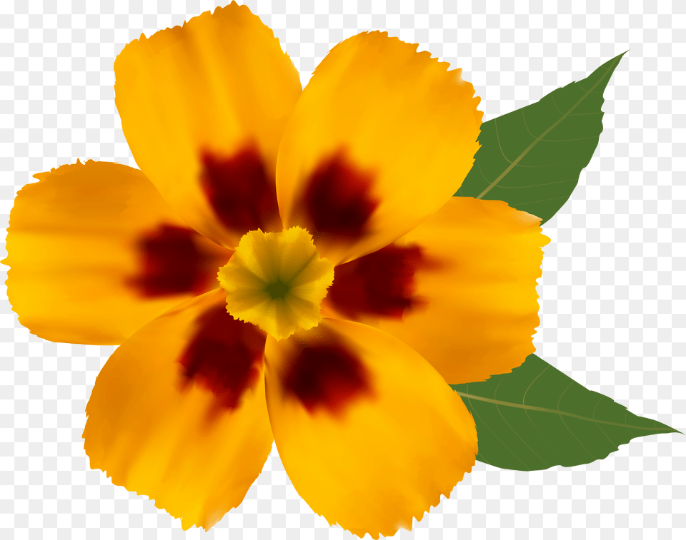 Library Of Flower Clip Art Royalty Yellow Files Background Real Flower Clipart, Petal, Plant, Leaf, Pollen Png