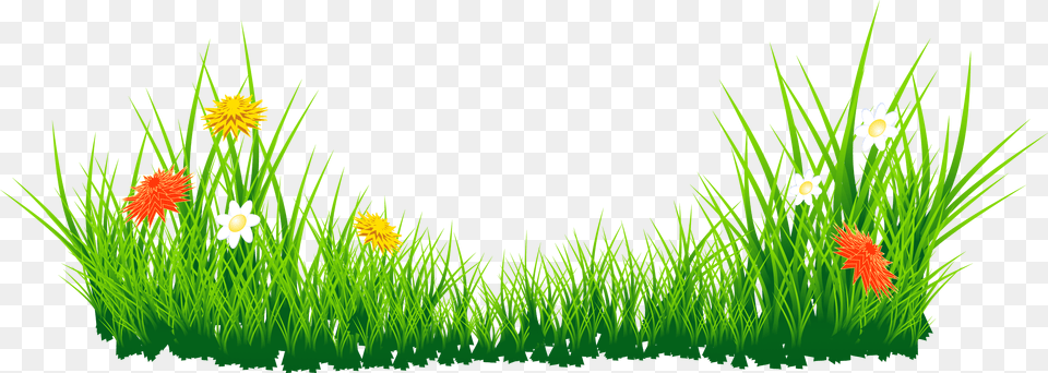 Library Of Flower Clipart Stock Files Green Grass, Plant, Lawn, Vegetation, Daisy Free Transparent Png