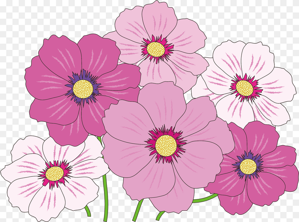 Library Of Flower Icon Image Royalty Files, Anemone, Anther, Daisy, Geranium Png