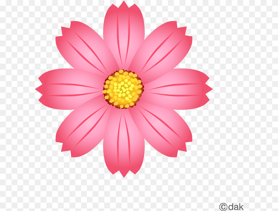 Library Of Flower Icon Royalty Flower Graphic, Dahlia, Daisy, Petal, Plant Free Png