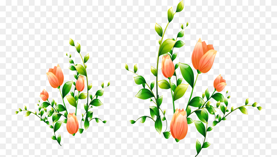 Library Of Flowers Images Download Files Clip Art, Plant, Pattern, Graphics, Flower Arrangement Png Image