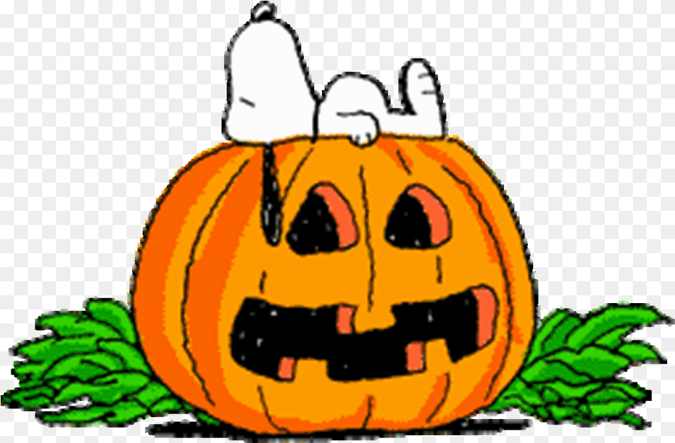 Library Of Animated Halloween Banner Freeuse Files Charlie Brown Jack O Lantern, Food, Plant, Produce, Pumpkin Free Png