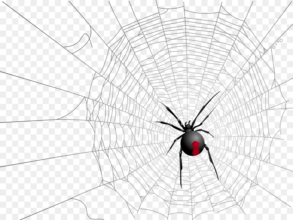 Library Of Free Halloween Spider Web Image Royalty Halloween White Spider Webs For Glass, Spider Web Png