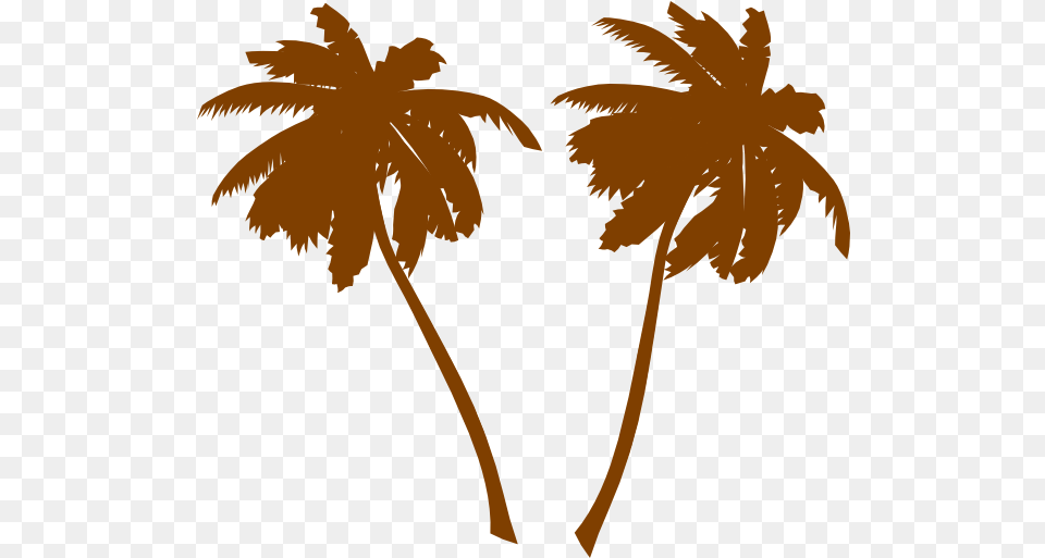 Library Of Sun Palm Clip Art Stock Files Vector Palm Tree, Leaf, Palm Tree, Plant, Person Free Transparent Png