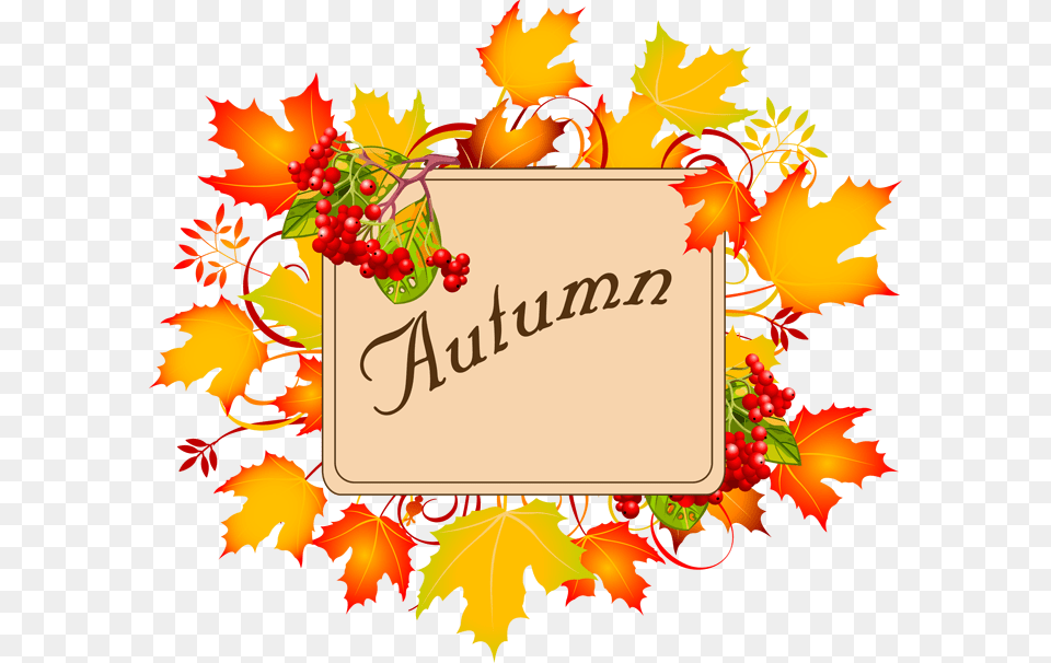 Library Of Free Thanksgiving Jpg Border Autumn Leaves Background, Art, Graphics, Leaf, Plant Png Image