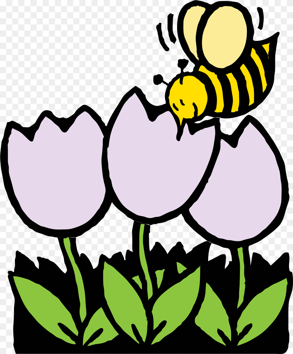 Library Of Honey Bee Coloring Pages Of Flowers, Animal, Invertebrate, Insect, Wasp Png Image
