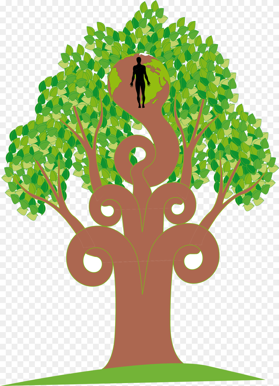 Library Of Lime Tree Picture Stock Files Clip Art, Potted Plant, Green, Oak, Plant Png