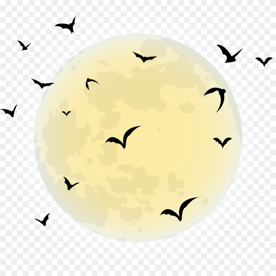 Library Of Moon Clip Art Freeuse Halloween Transparent Background, Food, Meal, Dish, Animal Free Png