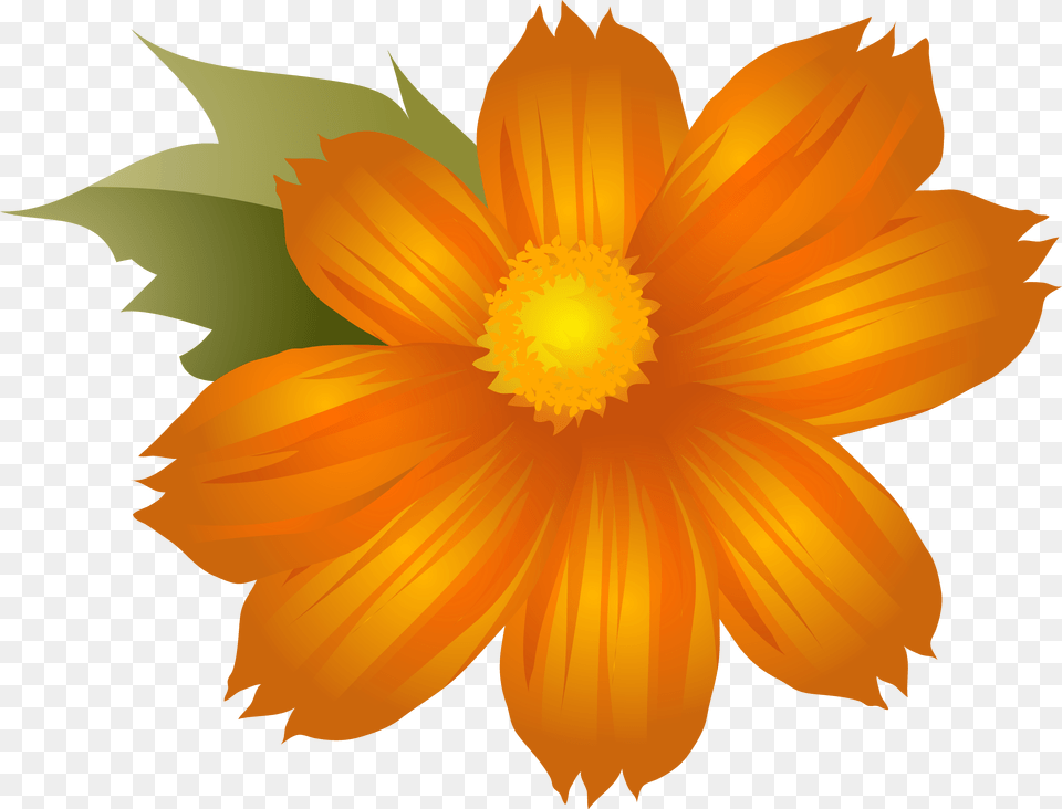 Library Of Orange Flower Clip Art Black Clip Art, Anemone, Anther, Dahlia, Daisy Free Png Download