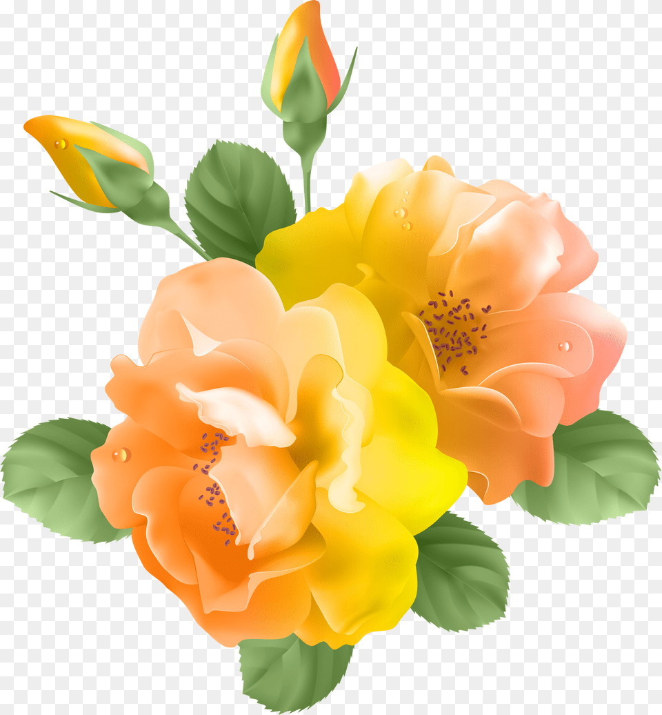 Library Of Orange Yellow And White Roses Jpg Download Free Png