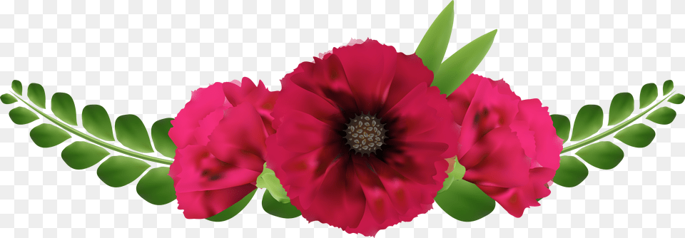 Library Of Painted Elegant Flower Image Royalty Flowers, Anemone, Anther, Plant, Petal Png